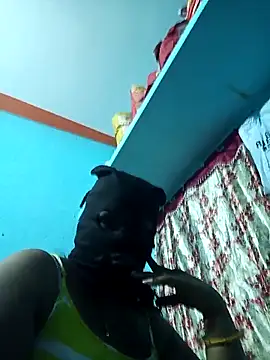 bhavanitelu online show from November 2025 03:39:01 AM