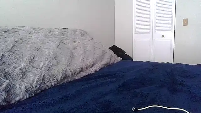 Snapshot of tendertormentt chatting on February 2026 05:00:02 PM tendertormentt online show from February 2026 05:00:02 PM