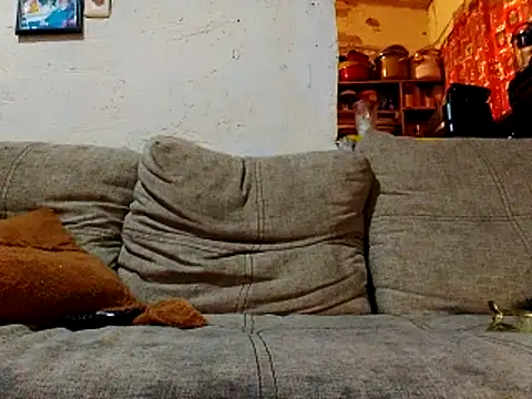 Snapshot of NewBe9D9 chatting on November 2025 09:42:01 AM NewBe9D9 online show from November 2025 09:42:01 AM