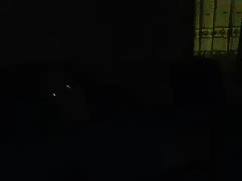 Snapshot of farock chatting on January 2025 05:52:01 AM farock online show from January 2025 05:52:01 AM