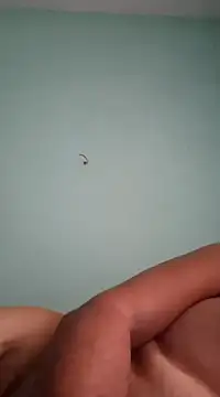 alexjs84 online show from December 2024 11:12:01 AM