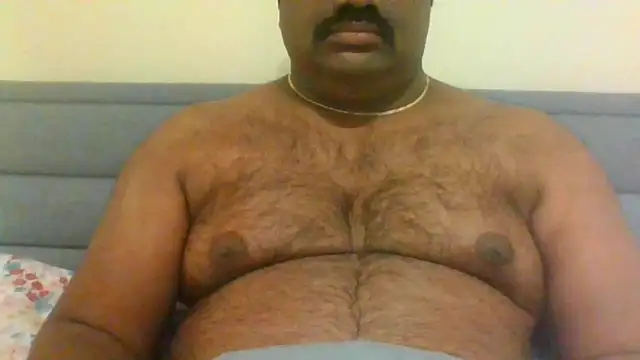 indianbearbot online show from December 2024 08:47:01 PM