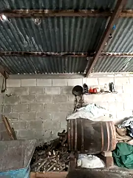 Eleni Pappa online show from March 2026 08:39:02 AM