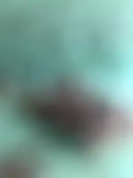 Snapshot of Indiancockmilk chatting on January 2025 06:35:01 AM Indiancockmilk online show from January 2025 06:35:01 AM