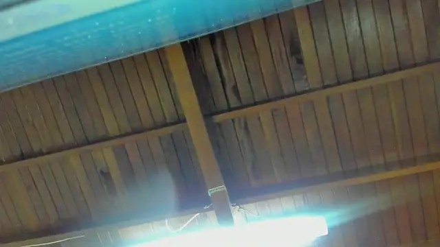 jeicob gagnon online show from September 2025 02:00:02 AM