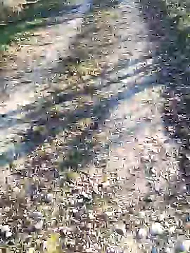 sansan2411 online show from January 2025 02:41:02 PM