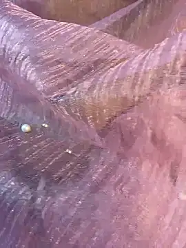 Snapshot of honeyboobies7249 chatting on January 2026 06:46:02 PM honeyboobies7249 online show from January 2026 06:46:02 PM