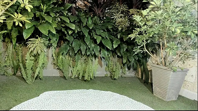 Snapshot of loladupont chatting on September 2025 03:06:01 AM loladupont online show from September 2025 03:06:01 AM