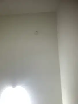 Snapshot of bidex002 chatting on May 2026 12:18:01 AM bidex002 online show from May 2026 12:18:01 AM