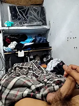 Snapshot of gatoalex89 chatting on May 2026 09:48:02 AM gatoalex89 online show from May 2026 09:48:02 AM