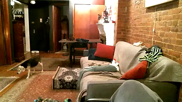 Johnny Bottoms online show from December 2024 01:04:02 AM