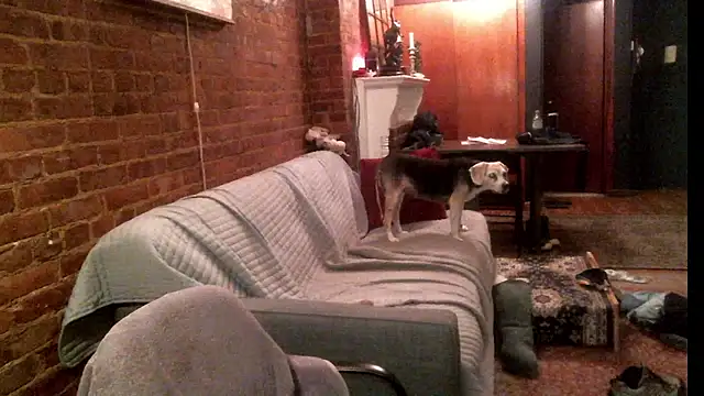 Johnny Bottoms online show from September 2025 11:19:02 PM