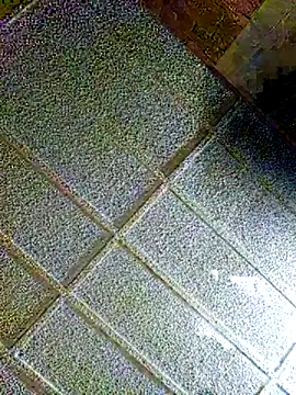 zaneporter46 online show from February 2025 08:59:02 PM