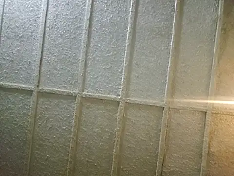 zaneporter46 online show from February 2025 06:54:01 AM