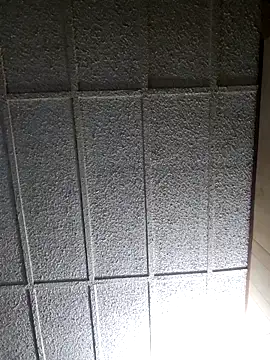 zaneporter46 online show from March 2025 09:07:01 AM