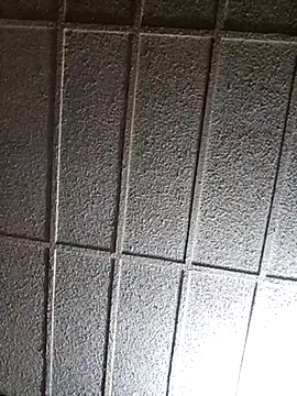 zaneporter46 online show from March 2025 05:59:02 AM