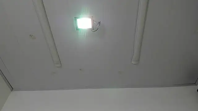 IsabellRodriguez18 online show from July 2026 04:19:01 AM