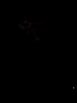 BigDandthemrs online show from September 2025 10:32:01 PM