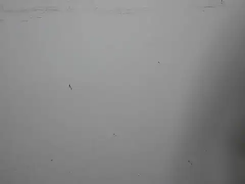 Snapshot of GoddessGlide chatting on March 2025 11:16:01 AM GoddessGlide online show from March 2025 11:16:01 AM