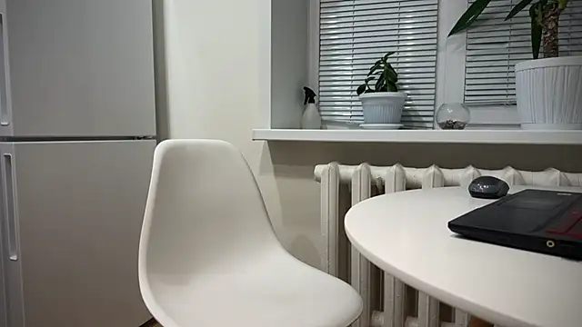 Snapshot of BrendanSilvers chatting on December 2024 11:20:02 PM BrendanSilvers online show from December 2024 11:20:02 PM