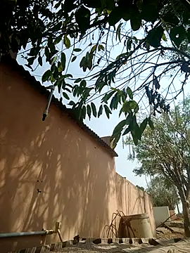 Snapshot of carria_homes chatting on March 2025 09:14:01 AM carria homes online show from March 2025 09:14:01 AM