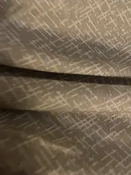 Snapshot of Vanzetti69 chatting on February 2026 03:16:02 PM Vanzetti69 online show from February 2026 03:16:02 PM