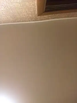 Prolisok473 online show from January 2025 03:29:02 PM