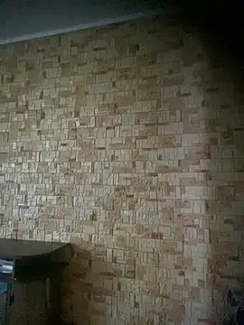 Prolisok473 online show from February 2025 08:31:02 AM