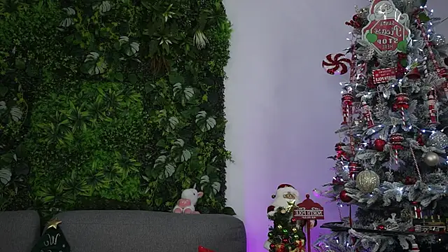 Snapshot of amiraroshen chatting on December 2025 08:06:01 PM amiraroshen online show from December 2025 08:06:01 PM