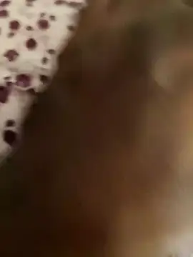 Snapshot of Rathi22 chatting on March 2025 03:10:02 AM Rathi22 online show from March 2025 03:10:02 AM