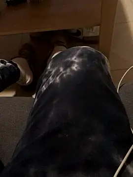 josueswvillaA1 online show from January 2026 03:06:01 PM