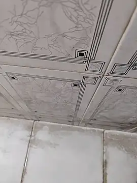 dreamers dick online show from January 2025 12:49:01 PM