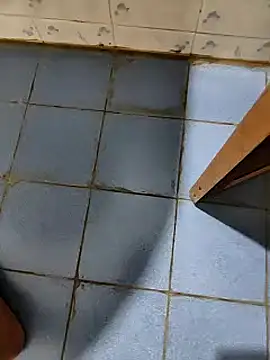 dreamers dick online show from January 2025 07:50:02 PM