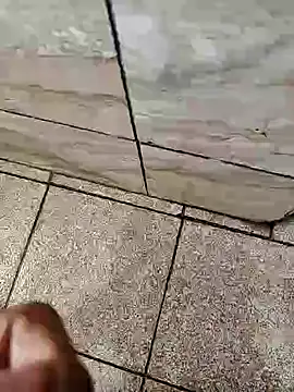 dreamers dick online show from January 2025 02:22:02 AM