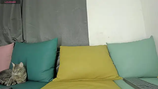 maison sofia1 online show from January 2025 03:46:01 AM