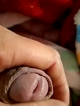 mmarvis za78 93 21cm online show from February 2025 02:38:02 AM