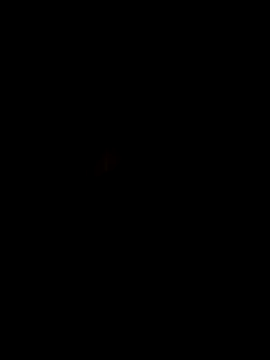 Elpeque x40 online show from April 2026 02:48:02 AM