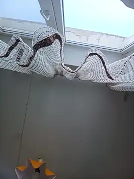 Lauren Amabel online show from February 2026 08:24:02 AM