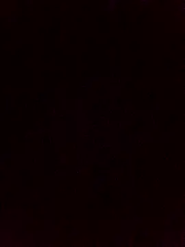 Samara-Bella online show from February 2026 04:53:02 AM