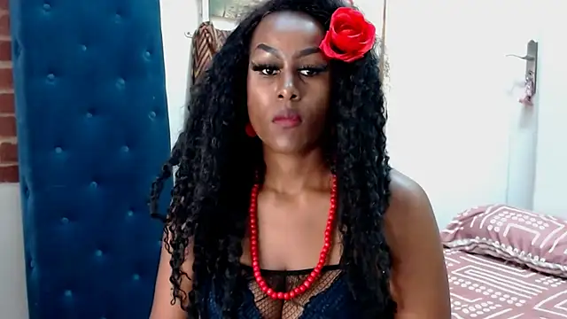 PEBBLES365 online show from February 2025 08:38:01 AM