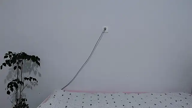                     88 online show from February 2026 09:53:01 PM