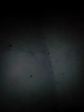 Snapshot of MAMIDRjk chatting on September 2025 02:17:01 AM MAMIDRjk online show from September 2025 02:17:01 AM