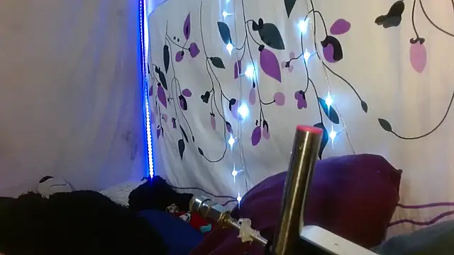 kattislut77 online show from February 2026 07:50:02 PM