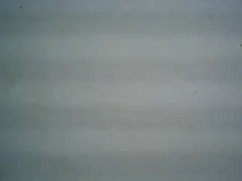 michel1520 online show from June 2026 04:24:02 AM