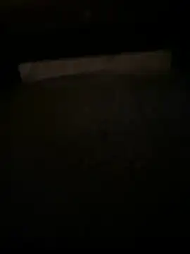 QTeepye online show from April 2026 05:30:01 AM