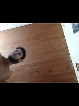 Snapshot of nxus77 chatting on December 2025 06:39:02 AM nxus77 online show from December 2025 06:39:02 AM