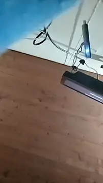 Snapshot of nxus77 chatting on January 2026 03:00:02 AM nxus77 online show from January 2026 03:00:02 AM