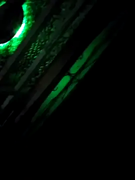 Snapshot of alejo5288 chatting on October 2025 08:12:01 AM alejo5288 online show from October 2025 08:12:01 AM