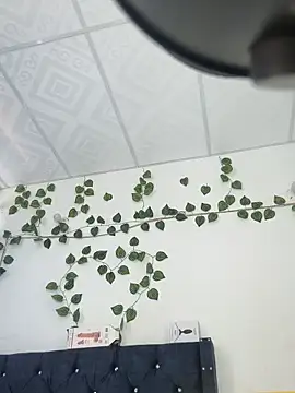 miaa--pervert online show from January 2025 01:20:01 PM