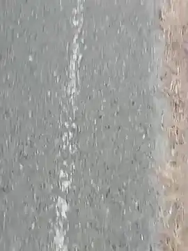 Jinenez online show from February 2025 10:20:01 PM